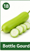 Bottle Gourd