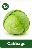Cabbage