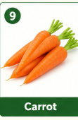 Carrot