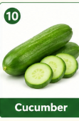 Cucumber
