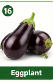 Eggplant
