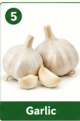 Garlic Deal
