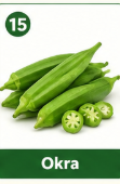 Okra