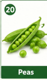 Peas