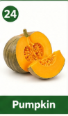 Pumpkin